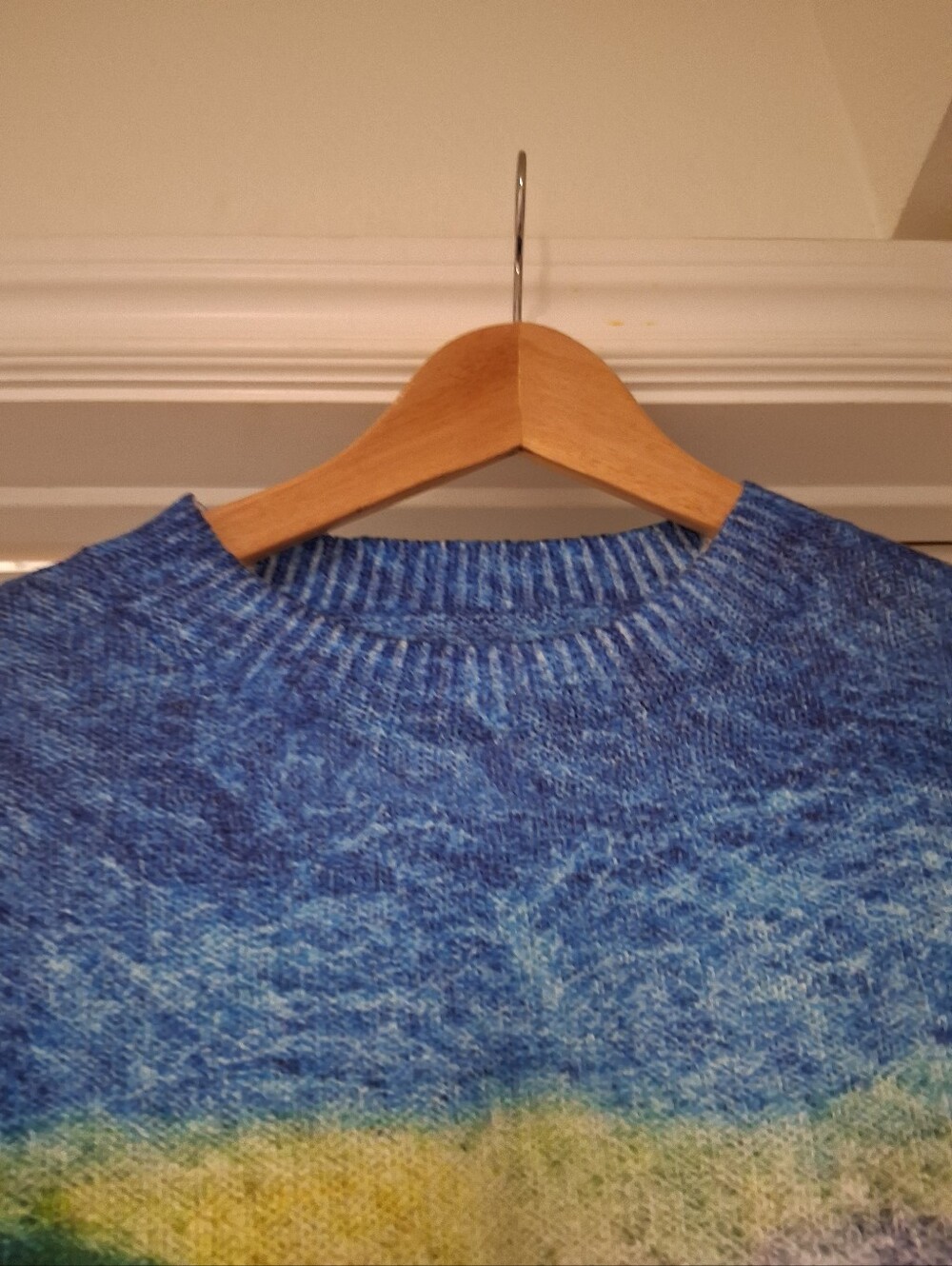 Gorgeous Winter Sweater - Picture 4 of 10